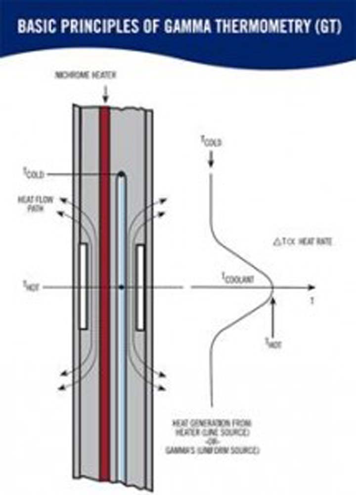 Delta M Corp. Gamma Thermometer Delta M Corp.